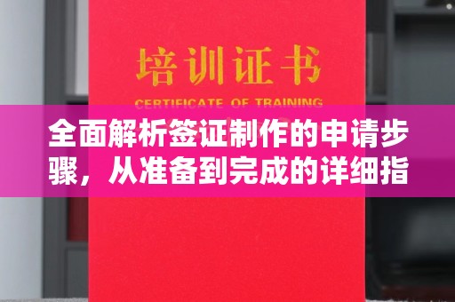 汉中全面解析签证制作的申请步骤，从准备到完成的详细指南